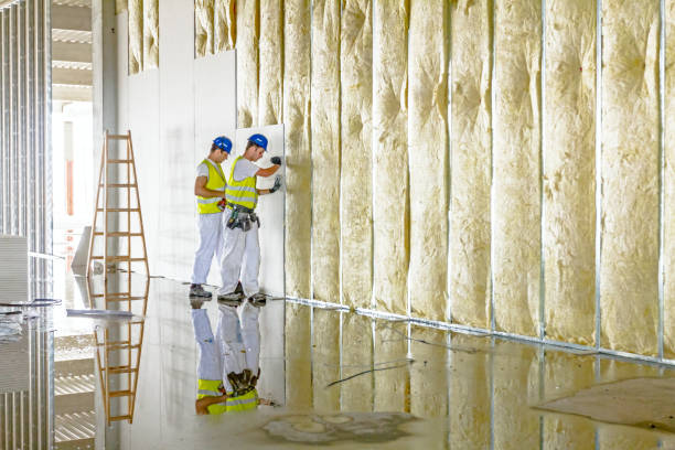Best Residential Insulation in Borger, TX
